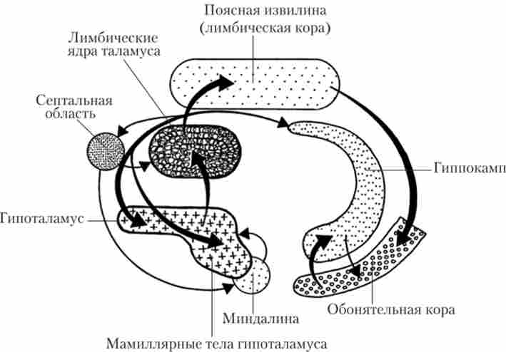 ������� ��������� ������ ������� � ��'���� �� ����