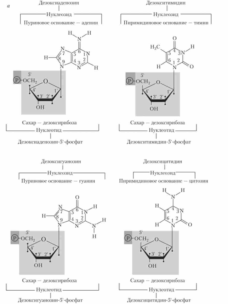 ���������� �������