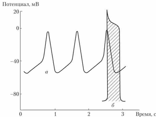 ���������� 䳿 ������������� ����� (�) � ������ �������� ������� (�)