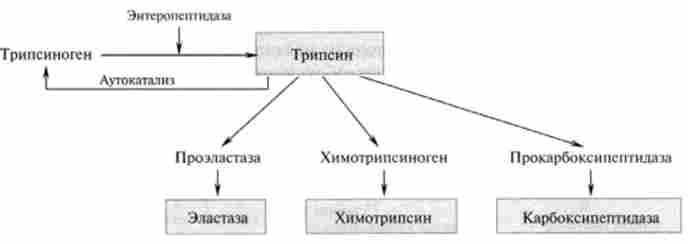 ��������� �������� � ���������