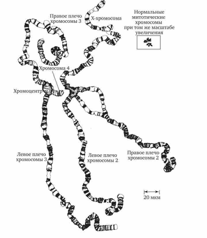 ������ ���� ��������� �������� � ����� ������ ������ ���������