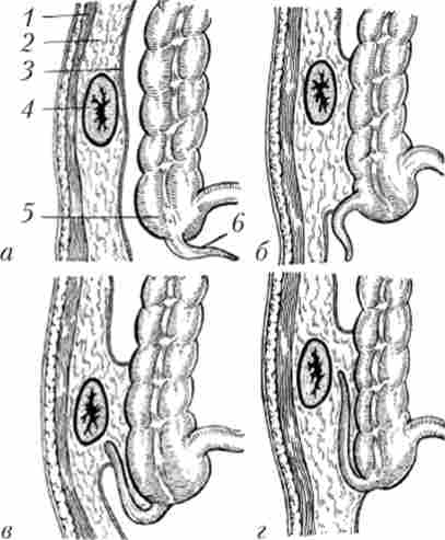 ��������� ������������� �������� �� ������������������