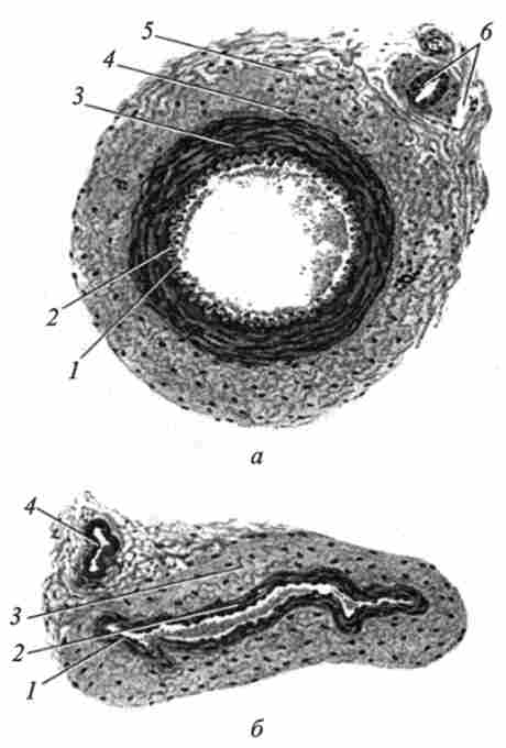 ���������� ������ �'������� ����