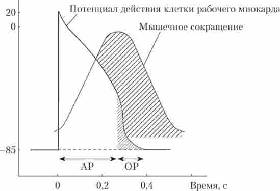 �������� ������������ �� ����������� 䳿 � ����������� ������ �������� ������� ��������