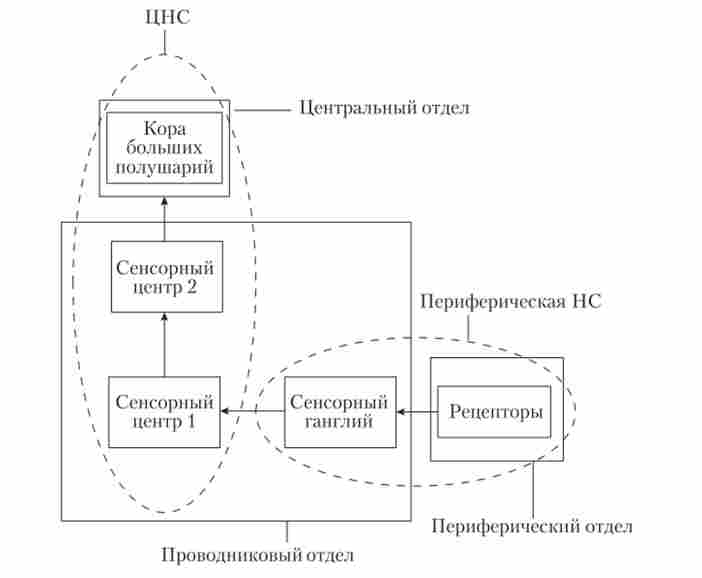 ����-����� �������� �������