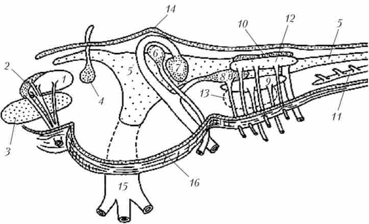 ����� ������������ ���� ������ �������� ����� ��������� ����������� �������� ��������� �����