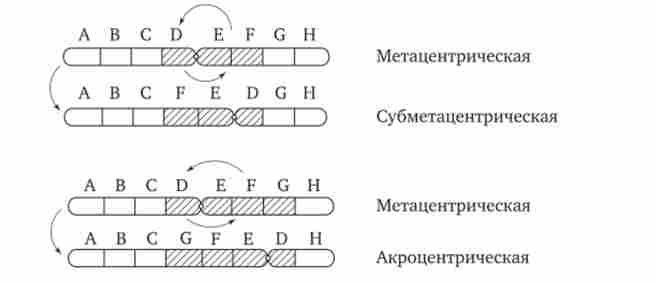 ���� ����� �������� � ��������� ������������ �������