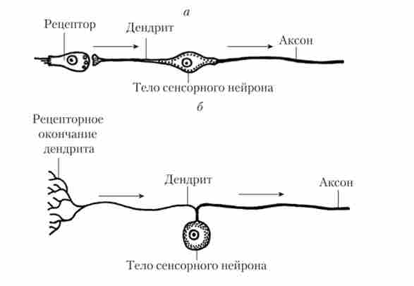 ������������������ (�) � ������������������ (�) ���������