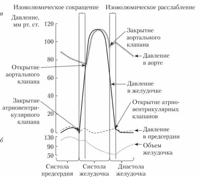 �������� ���� ����� ��������