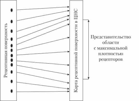 ����� ������� ������� � ��������� ��������