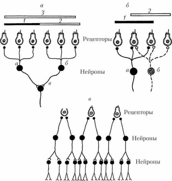 ������������ (� � �) � ����������� (�) ��������� �������