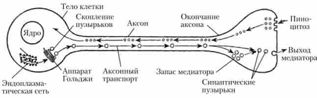 ���������������� ���������