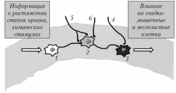 ������� ����������� ���� ������������ ������� ������� � ����� ����������� ������