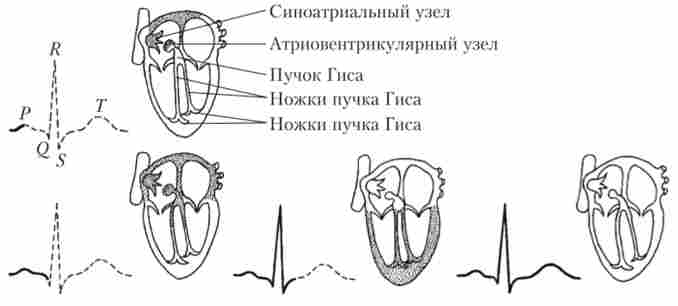 ������������ ��������� ����� ������ ������� � ����������� ����� ������� �� �������������������� �����