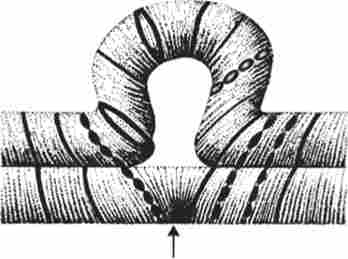 �����, �� ����������� ��� ���'������ ����������� ��������, �� ������ ������������ ��������� ������� � ��������� ������� � ��������� ���������� ����������