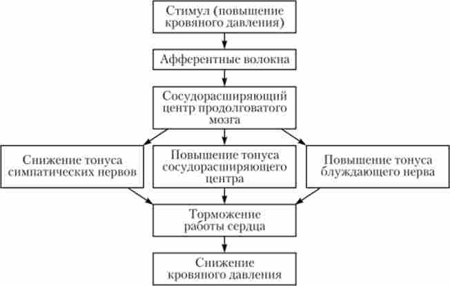 ��������� ������� �������-������� ������� ��� ��������� ����'����� �����