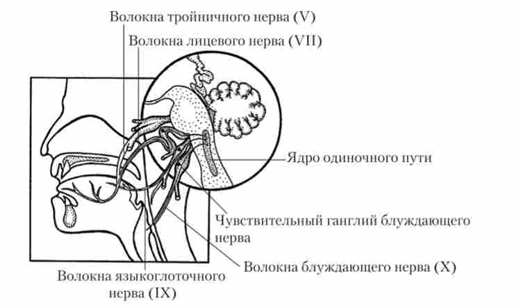 ���������� ����