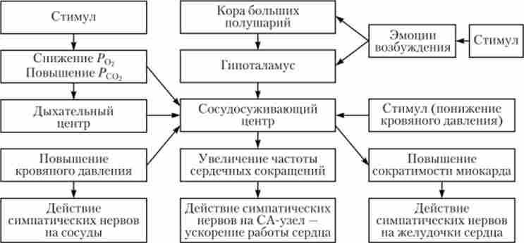 ��������� ������� �������-������� ������� ��� �������� ����'����� �����