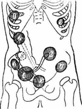 ������� ������� ��������� ���������������� ����������