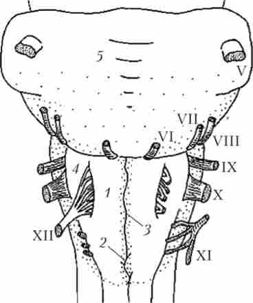 ���������� �������� ���������� ����� � �����