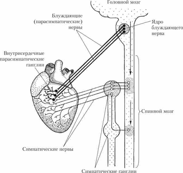 �. 18. ���������� � �������������� ���������� �����