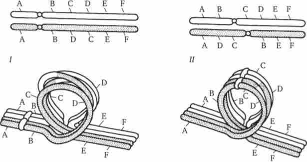 ���'������ �������� ��� ��������