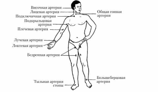 ̳��� ������������ ������� ������ ������� �� �������� ��� 򳺿 ����������� ������