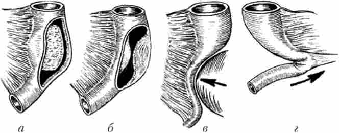 ������������� ���