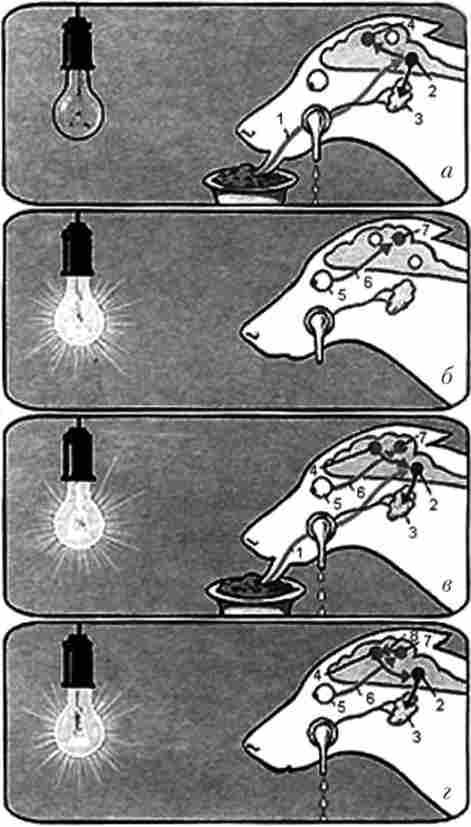 ����� ���������� ���������� �������� ��������