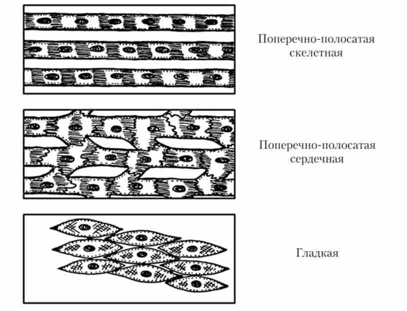 �'����� �������