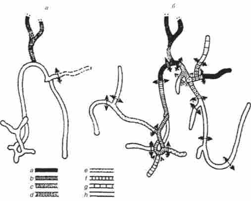 �������� ��������� ����������� ����� ��� ����� ���� � ������� ����� (�����) ��������� �������
