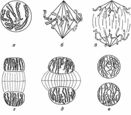 ̳��� � ��������� ������