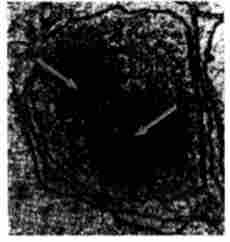 ���������� � ����� ����