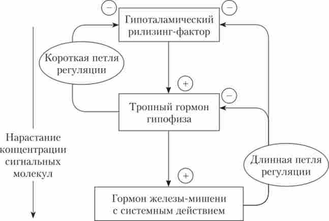 ����� ��������� ������������ ������ � ����������� ������ �� ����� ����������� ���������� ��'����