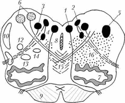 ����� ����������� ���� ����� ��������� ����� � ������ ���� � ������� ��������������