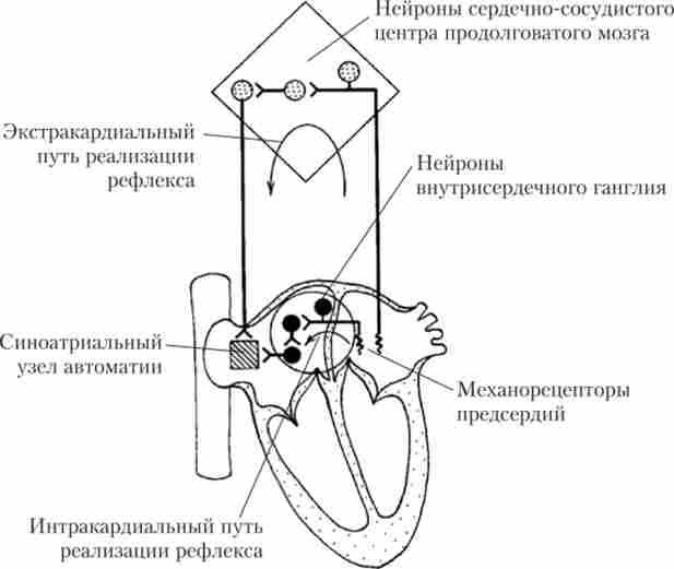 ����� ����������������� � ���������������� ������ ��������� �������� � ��������������� ����������, �� ������� ��������� ��������� �����