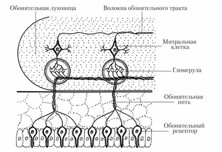 ���������� ���������� ������ ��������