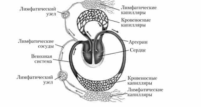 ����� �������'���� ��������� �� ���������� ������ ��������