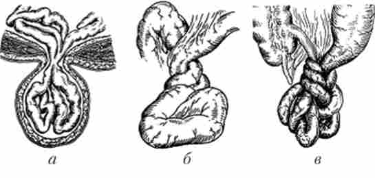 ���������������� ���