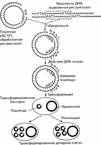 ��������� ������������� ������� � �� ���������� � ������� �������