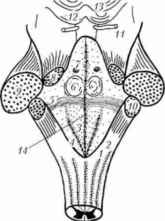 ���������� �������� ���������� ����� � ����� (� ���� ���� - ������� ��������������)