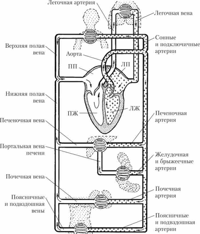 ������� ������ �������� � ������ �� ���������