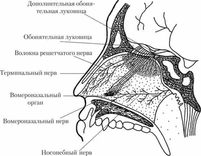 ��������������� �����