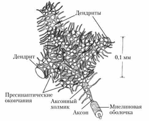 ������� �� �� � ��������� ����������� �������� �����