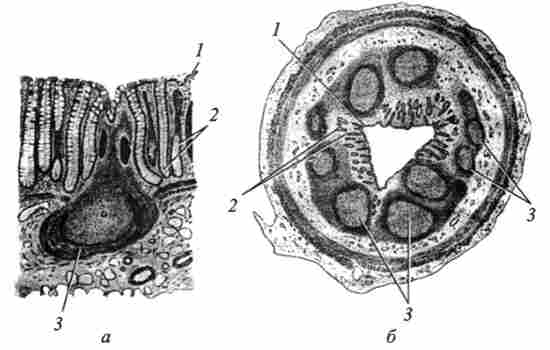˳������ ��������� � ���������