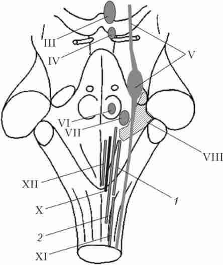 �������� ���� �������� ����� �� ����������� ����