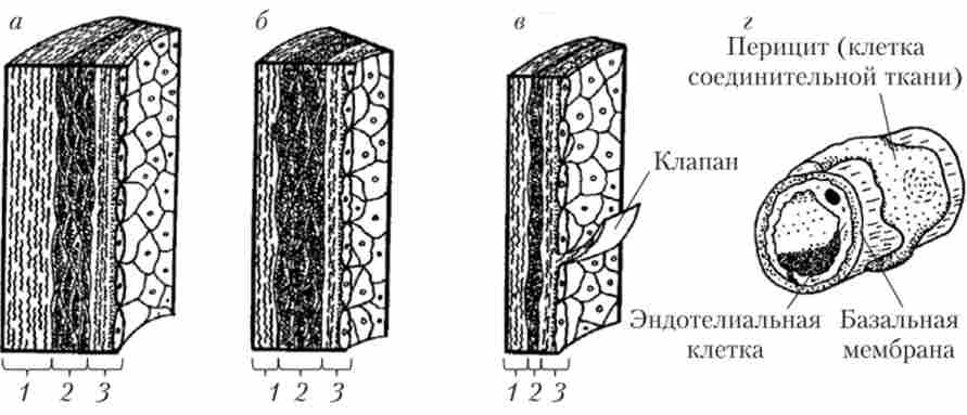 ���������� ������ ����� ����� ������ ����