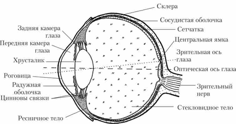 ���� ������ ������ ����� ���� ����������, � �� ������ ��� ��������� ����� ��� ����� ������� �����