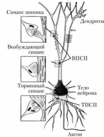 ��������� � ������� ������� �������� ��������� �����