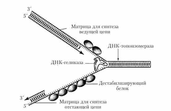 ����� ����� ����� ��������� ���